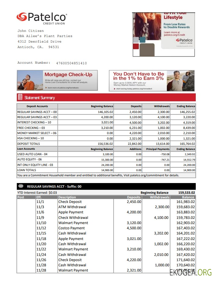 Modèle de relevé bancaire USA California Patelco Credit Union au format Excel et PDF